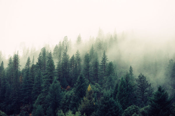 tumblr_ng37kbjFNO1qfirfao1_1280