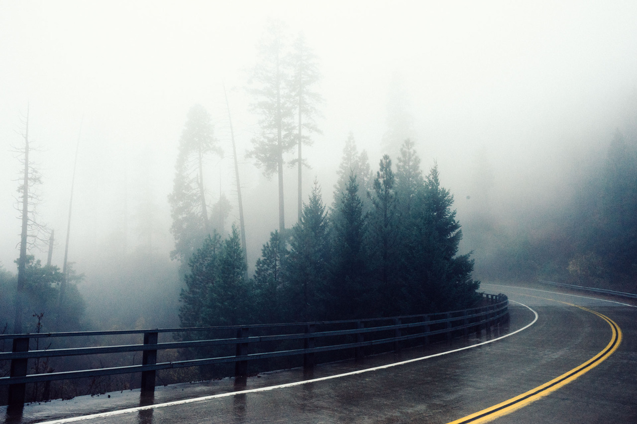 tumblr_ng387sfzu01qfirfao1_1280