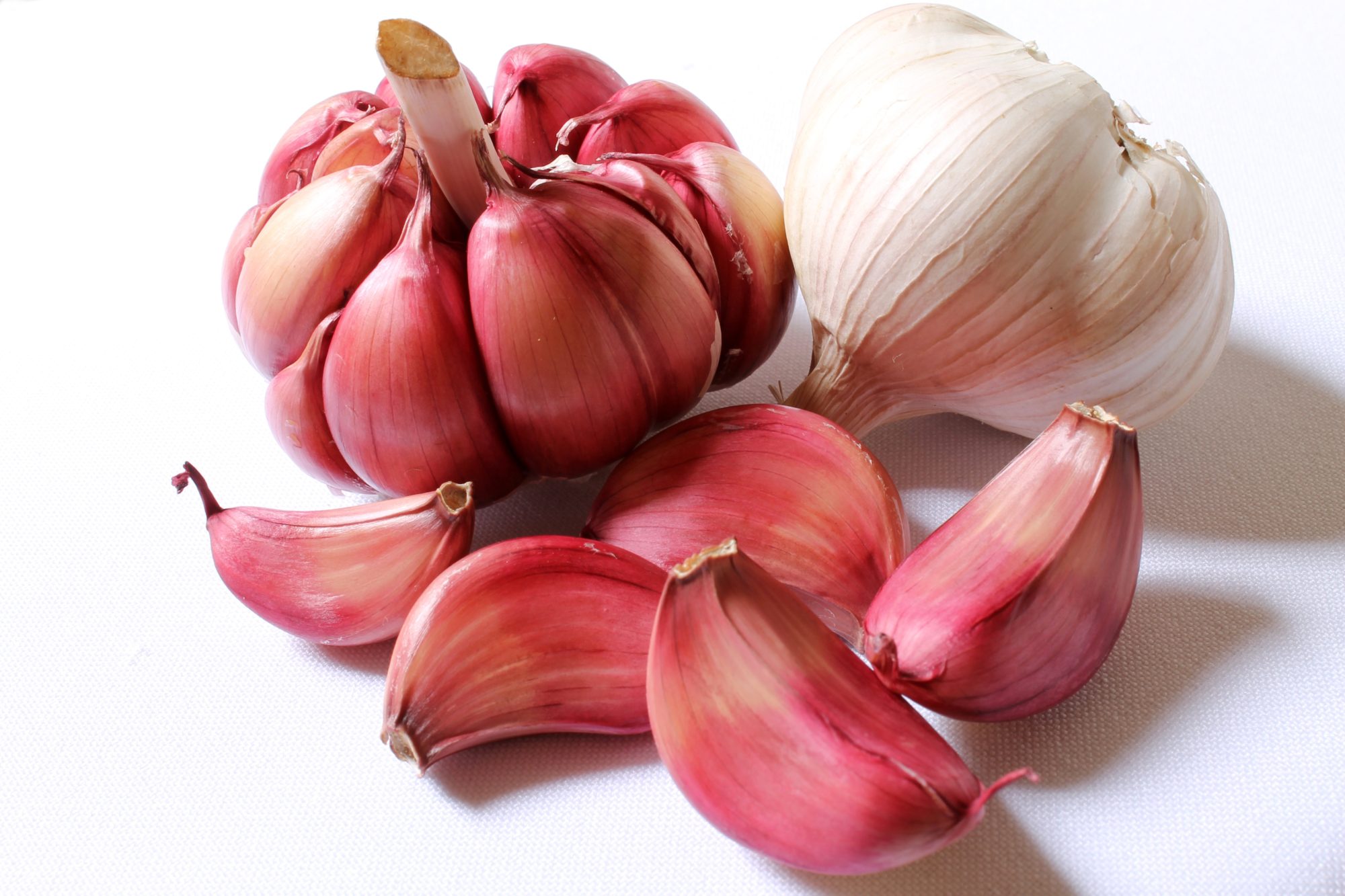 garlic-618400