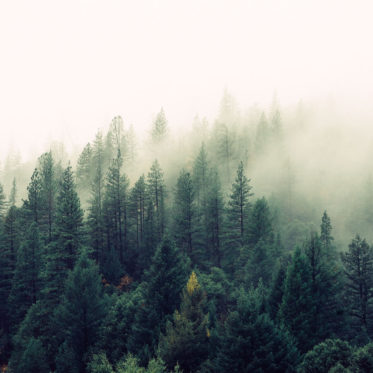 tumblr_ng37kbjFNO1qfirfao1_1280