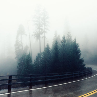 tumblr_ng387sfzu01qfirfao1_1280