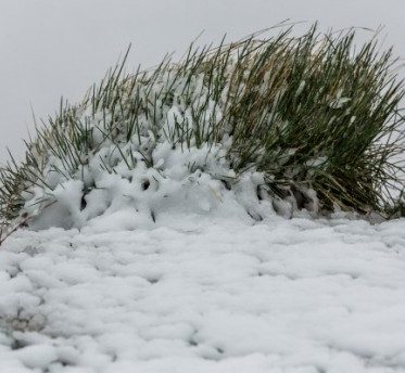 Zima-se-vratila-na-Biokovo-snijeg-nosen-jakim-vjetrom-od-jutra-pada-i-u-Lici_ca_large